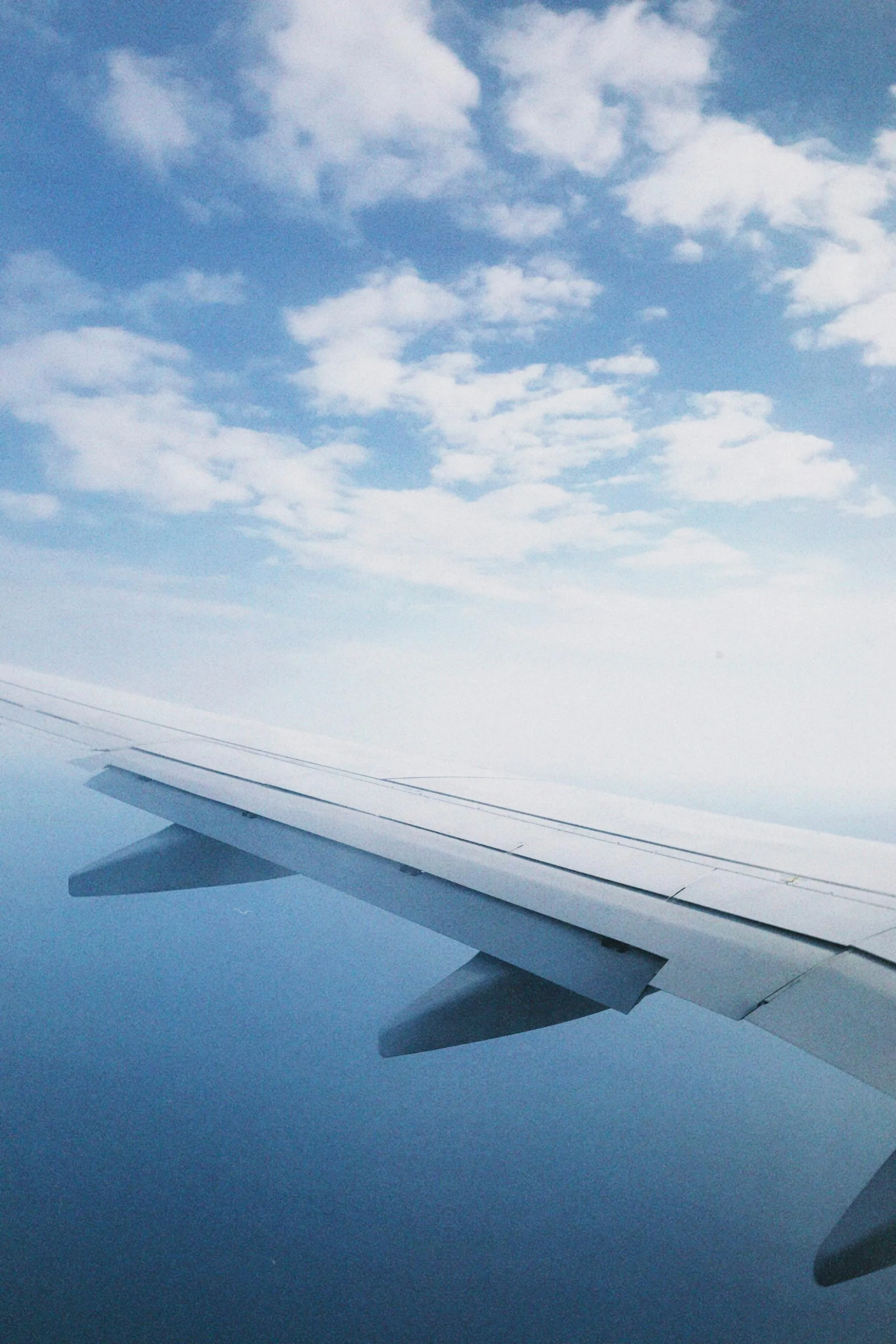 The wing of an airplane